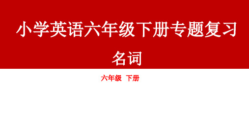 小学英语六年级下册专题复习——名词(课件)