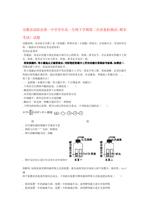 安徽省涡阳县第一中学2018 2019高一生物下学期第二次质量检测试期末考试试题