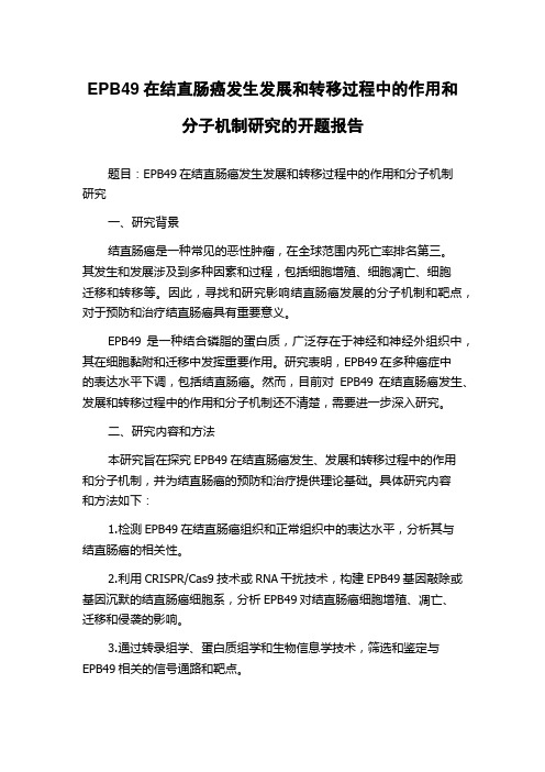 EPB49在结直肠癌发生发展和转移过程中的作用和分子机制研究的开题报告