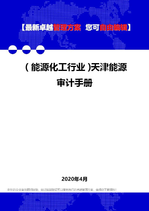(能源化工行业)天津能源审计手册