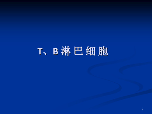 《T、B淋巴细胞》PPT课件