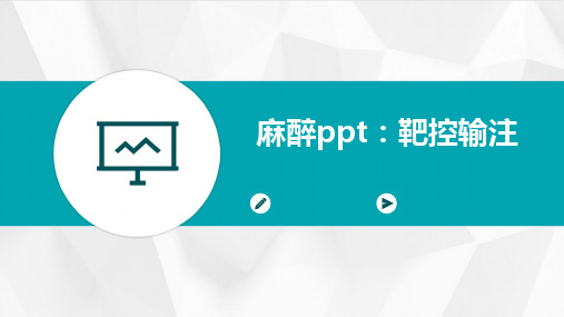 麻醉PPT：靶控输注