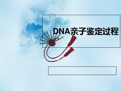 《DNA亲子鉴定过程》PPT课件