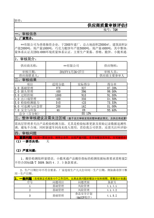 供应商质量审核评估报告模板.