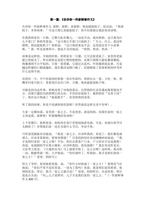 一件新鲜事作文600字