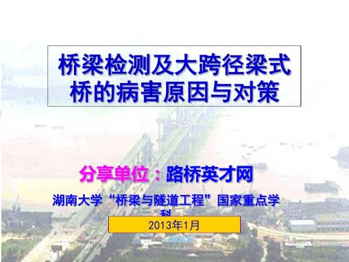 各种大跨梁式桥的危害与方法-精品文档