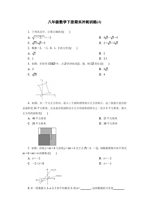 人教八年级数学下册  期末冲刺训练(4)(含答案)