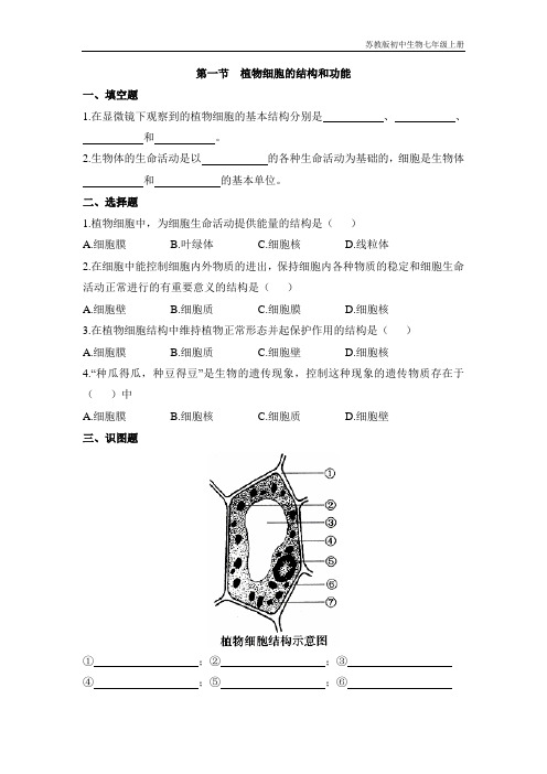 苏教版初中生物七年级《植物细胞的结构和功能》同步练习