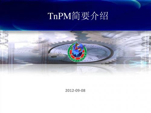 TnPM简要介绍