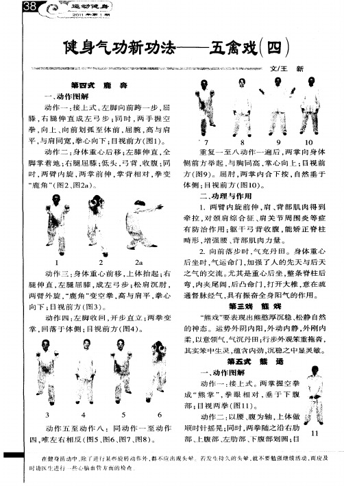 健身气功新功法——五禽戏(四)