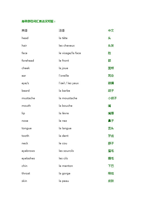初学者必备法语词汇：身体部位相关词汇