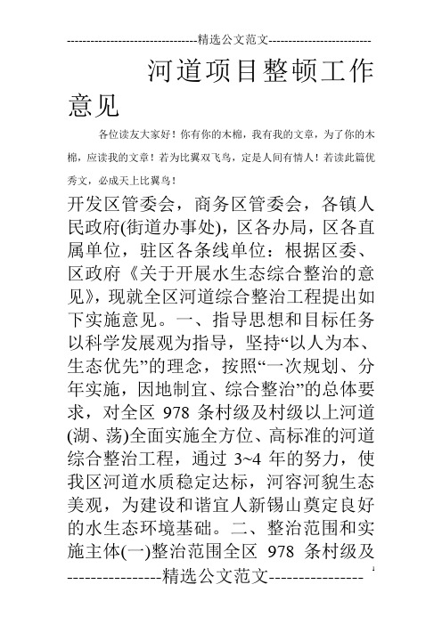 河道项目整顿工作意见