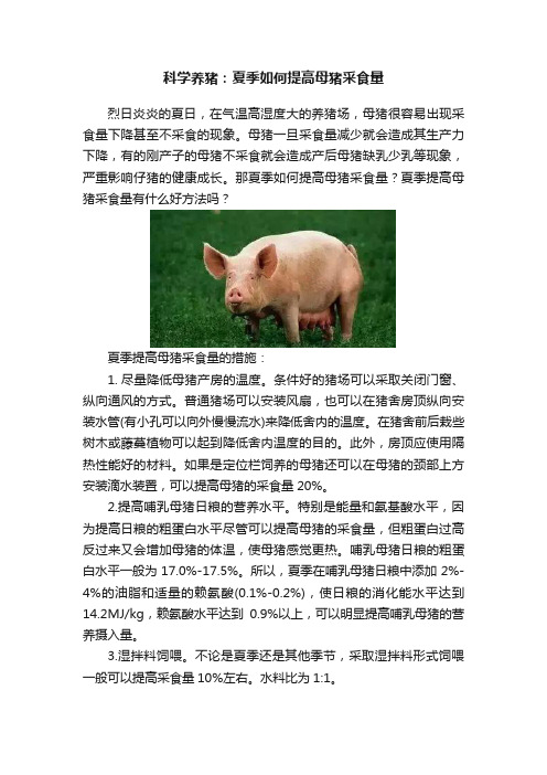 科学养猪：夏季如何提高母猪采食量