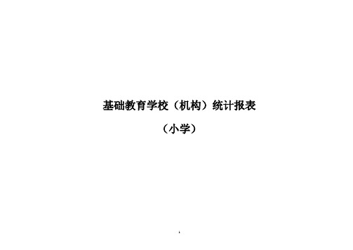 学校统计报表(小学)讲义