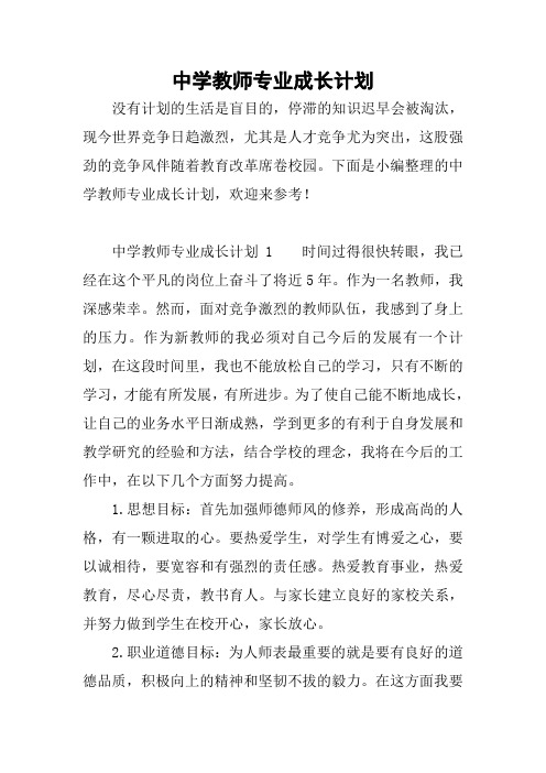 中学教师专业成长计划