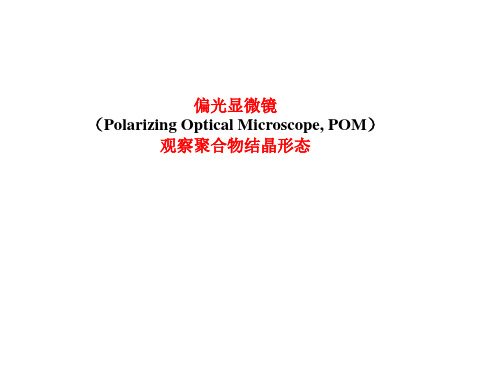 偏光显微镜观察聚合物结晶形态