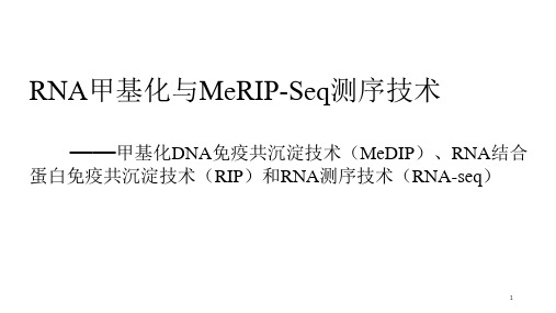 RNA甲基化研究现状与实验可行性ppt课件