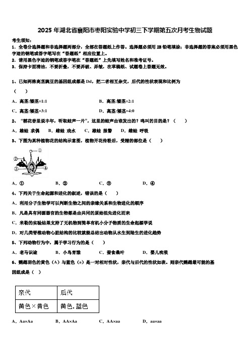 2025年湖北省襄阳市枣阳实验中学初三下学期第五次月考生物试题含解析