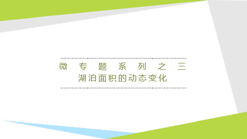 高中地理一轮复习微专题3 湖泊面积的动态变化