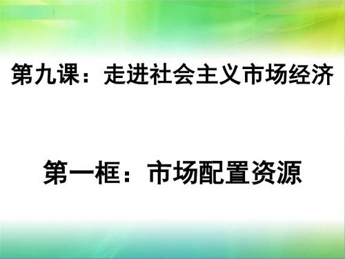 人教版高中政治必修一9.1市场资源配置 (共31张PPT)