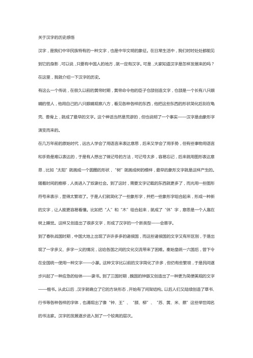 关于汉字的历史感悟