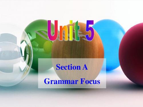 九年级Unit5 Section A Grammar Focus课件(共17张PPT)