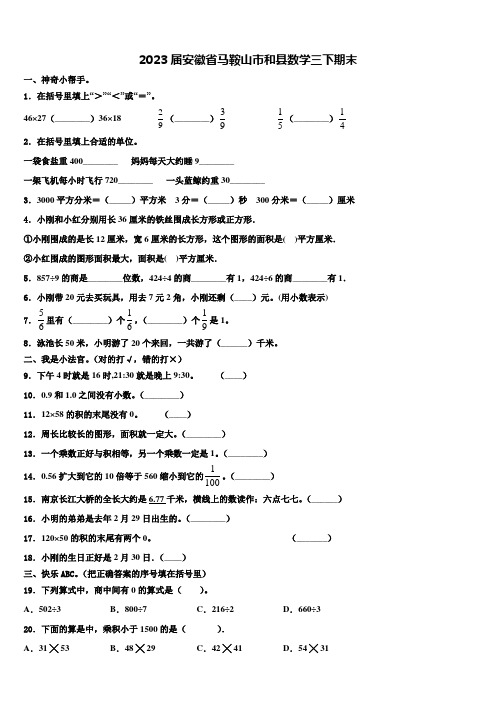 2023届安徽省马鞍山市和县数学三下期末含解析