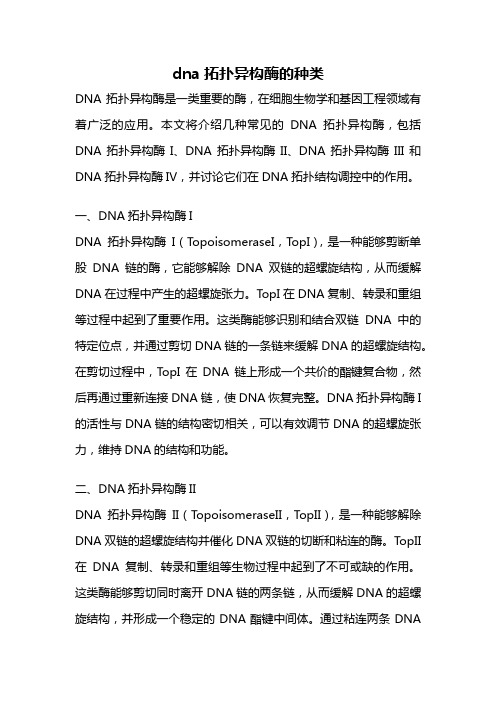 dna拓扑异构酶的种类