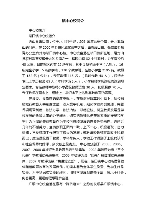 镇中心校简介