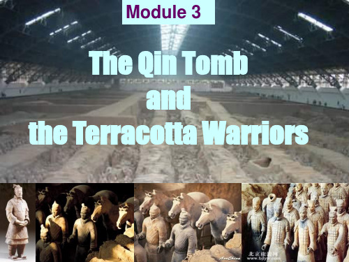 外研版高中英语选修9 Module 3 The Qin Tomb and the Terracotta Warriors)