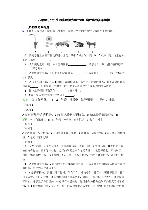 八年级(上册)生物实验探究综合题汇编经典和答案解析