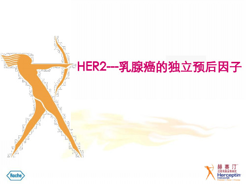 1_HER2简介