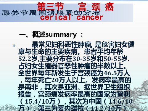 宫颈癌的临床症状与治疗