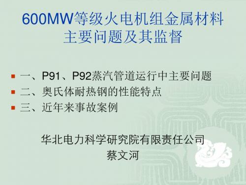 MW等级火电机组金属材料