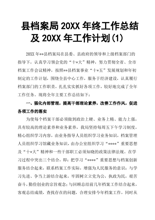 县档案局20XX年终工作总结及20XX年工作计划