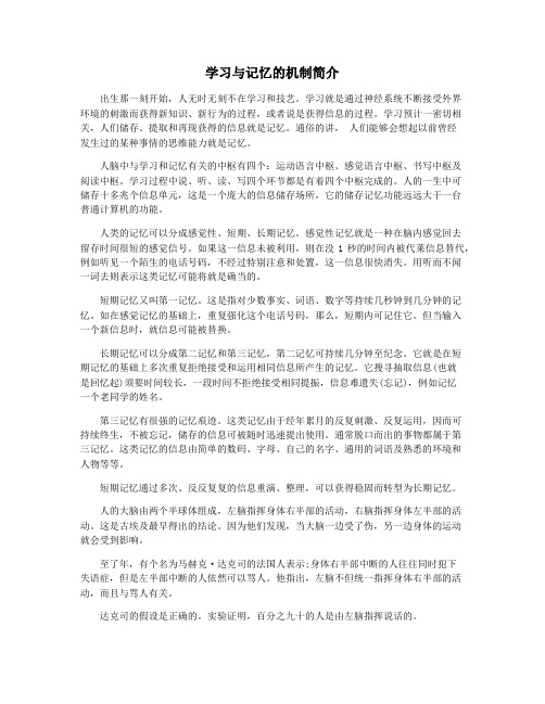 学习与记忆的机制简介