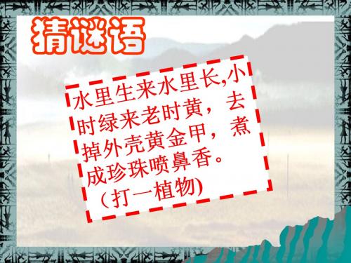 北师大历史七年级第2课 星罗棋布的氏族聚落