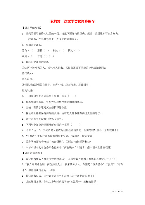 初中一年级语文上册《我的第一次文学尝试》同步练习语文版