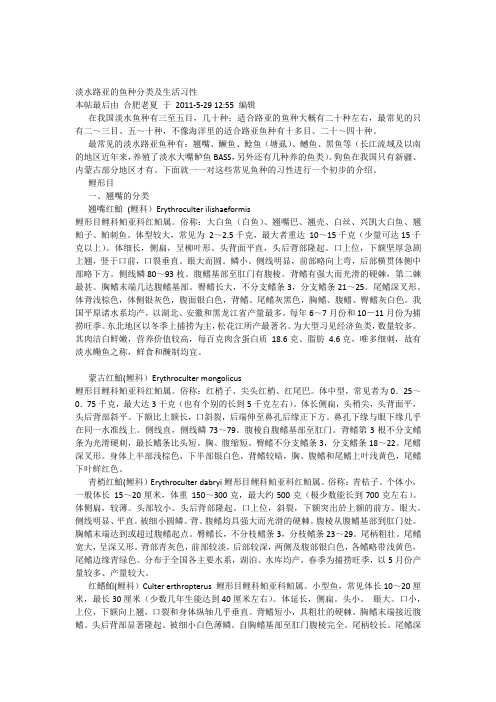 淡水路亚的鱼种分类及生活习性