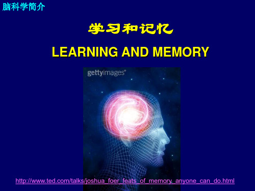 学习和记忆——脑科学简介