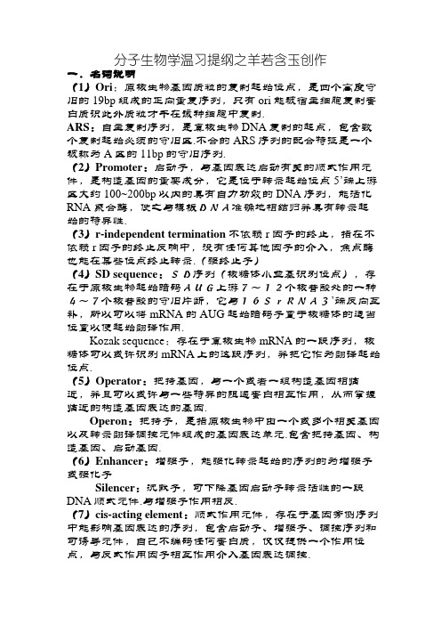 分子生物学期末考试题目及答案