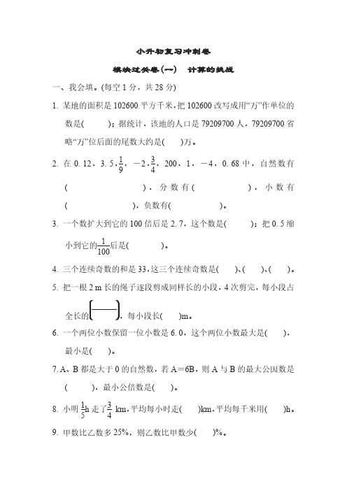 苏教版数学六年级下册小升初冲刺专项复习卷6套