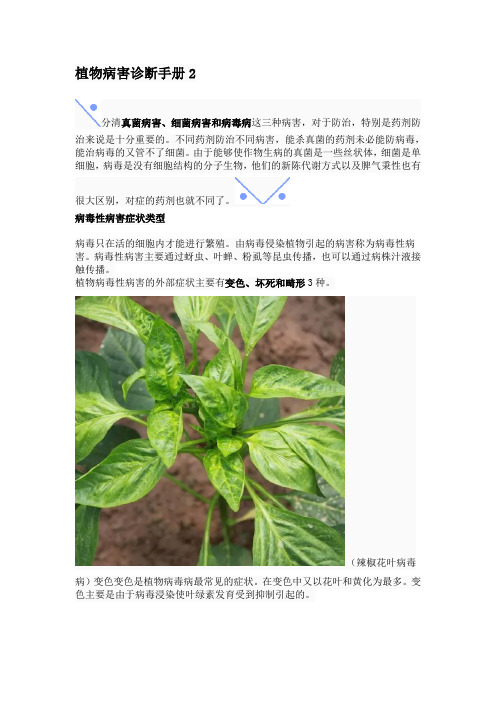 植物病害诊断手册2