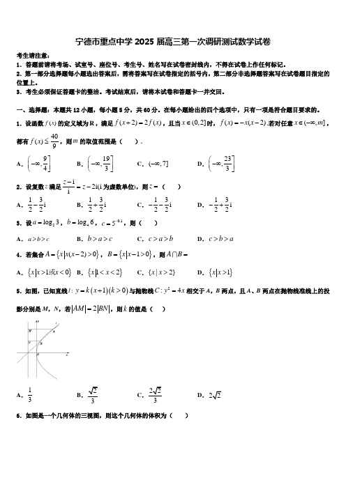 宁德市重点中学2025届高三第一次调研测试数学试卷含解析