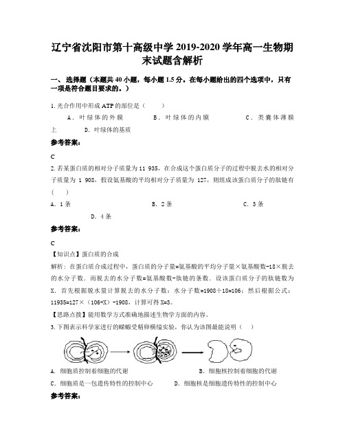 辽宁省沈阳市第十高级中学2019-2020学年高一生物期末试题含解析