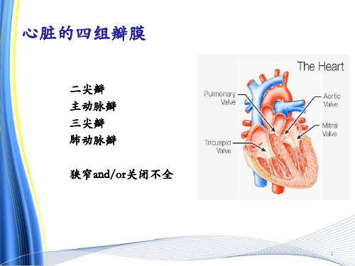 最新心脏瓣膜病的麻醉PPT课件