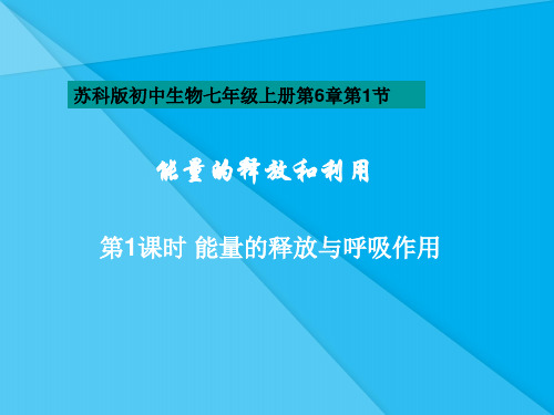 能量的释放和利用PPT课件 苏科版优秀课件