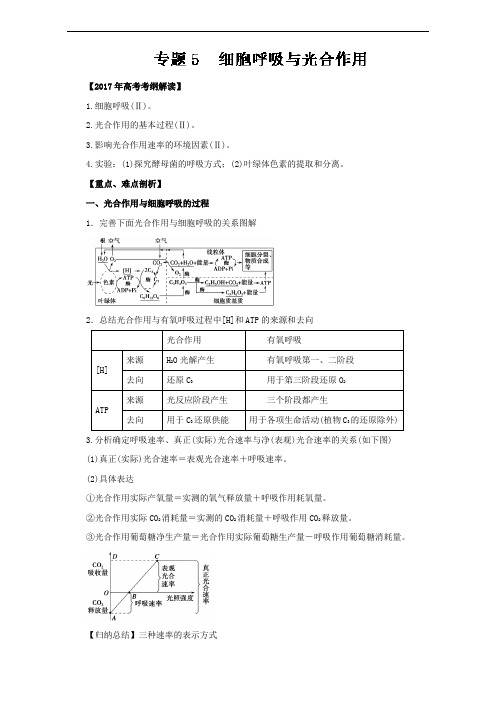 专题05 细胞呼吸与光合作用专题-2017年高考生物考纲解