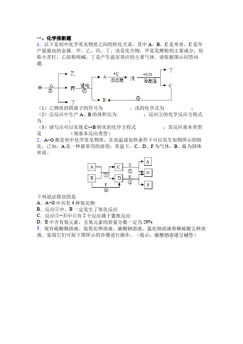 深圳大鹏街道华侨中学中考化学推断题试卷及答案