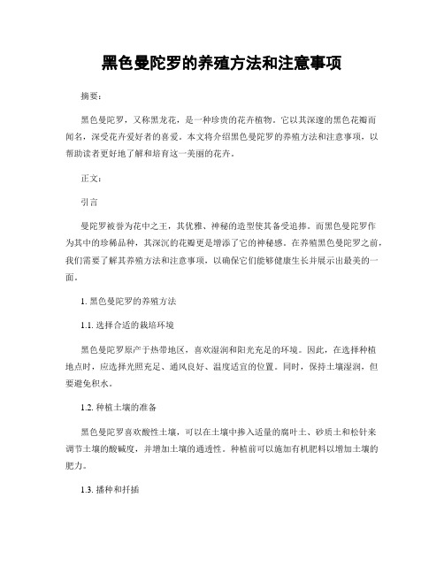 黑色曼陀罗的养殖方法和注意事项